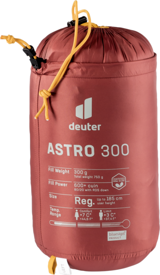 Down sleeping bag Astro 300
