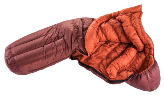Down sleeping bag Astro Pro 800 EL