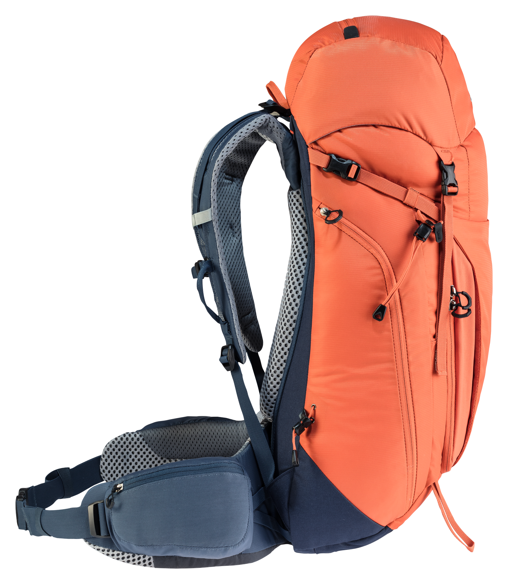 Deuter trail 36 sale