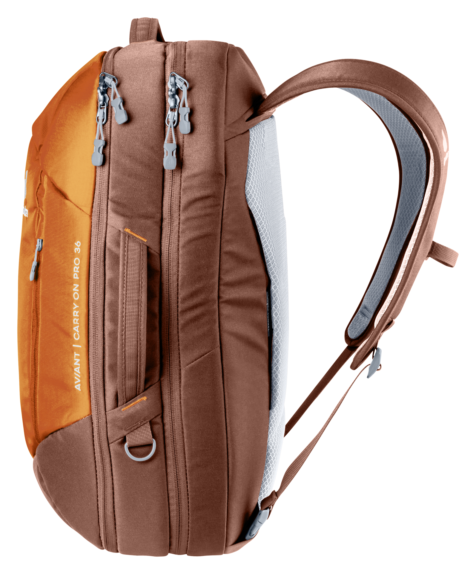 Deuter carry deals on backpack
