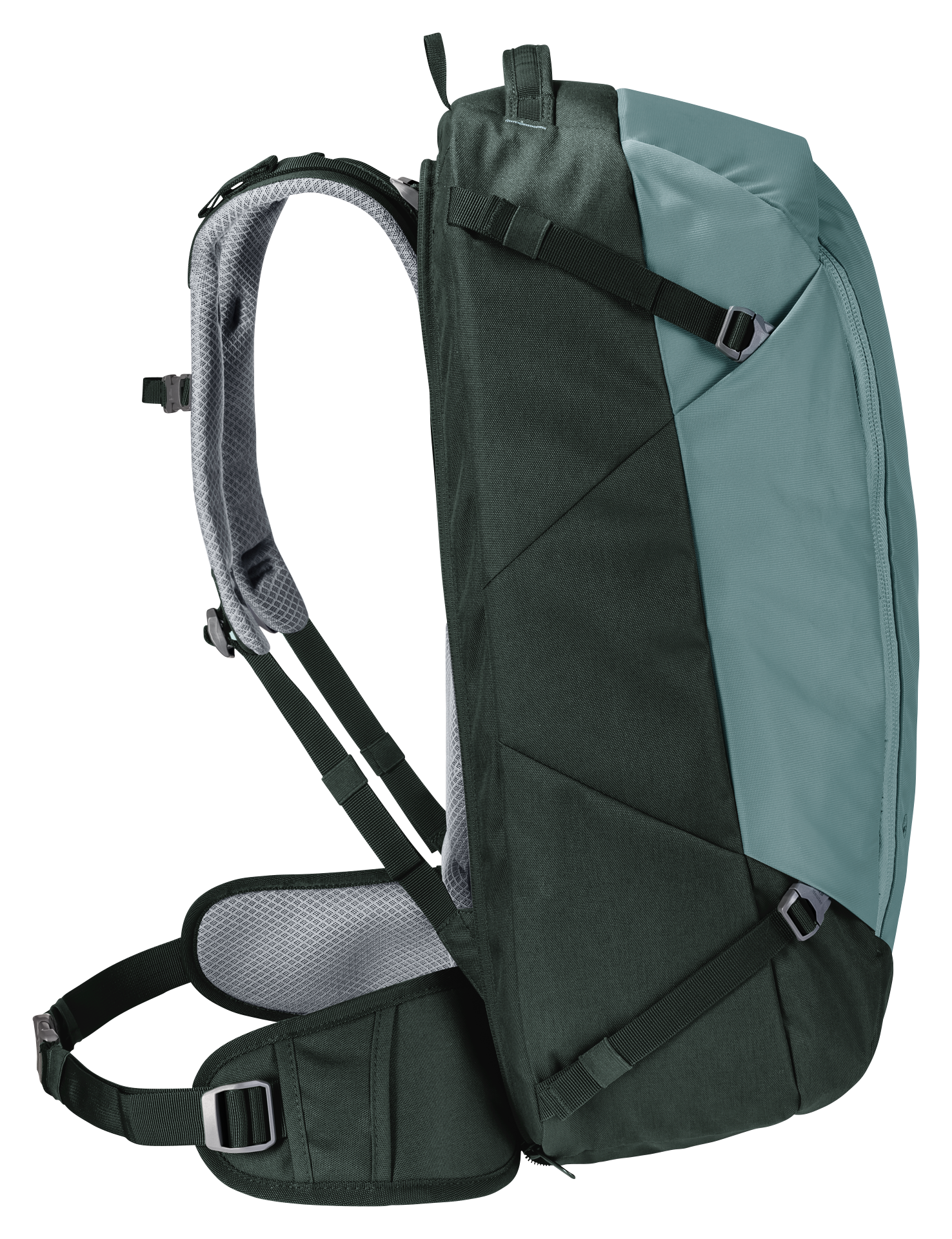 Deuter 50l shop