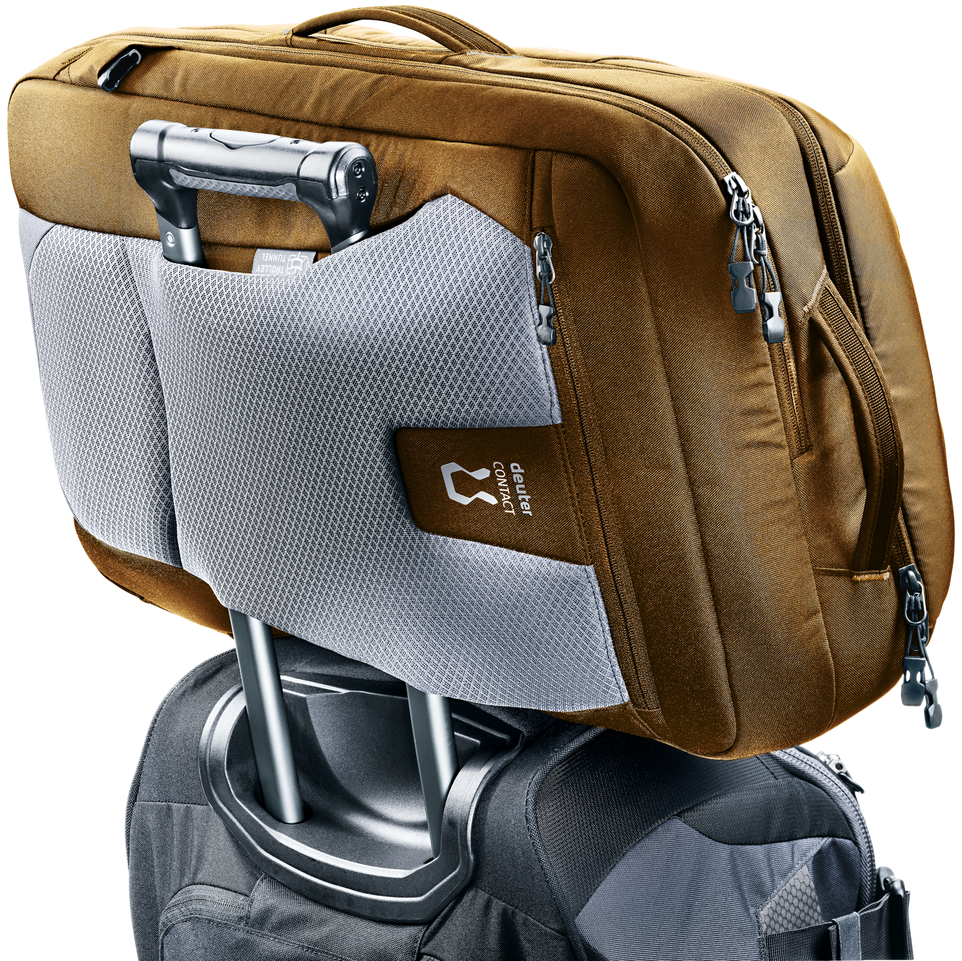 Deuter cabin bag store