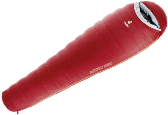 Sacos de dormir de plumón Astro 550 - L