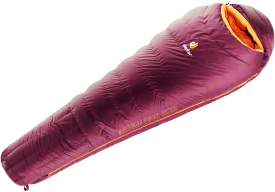 Down sleeping bag Astro Pro 600 - SL
