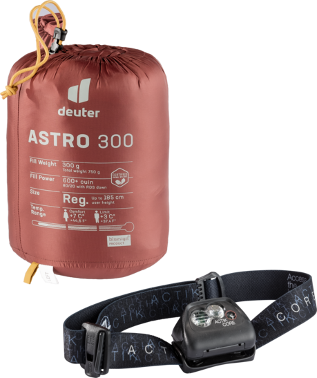 Daunenschlafsack Astro 300 L 