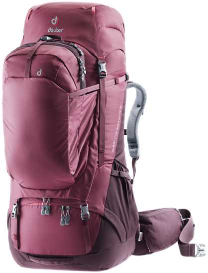 Travel backpack Aviant Voyager 60+10 SL