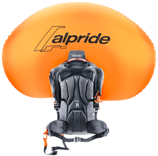 充実の品 deuter Alproof 30 SL | Avalanche backpack スキー・スノーボードアクセサリー