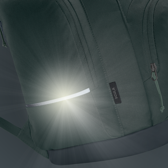 School backpack Scula