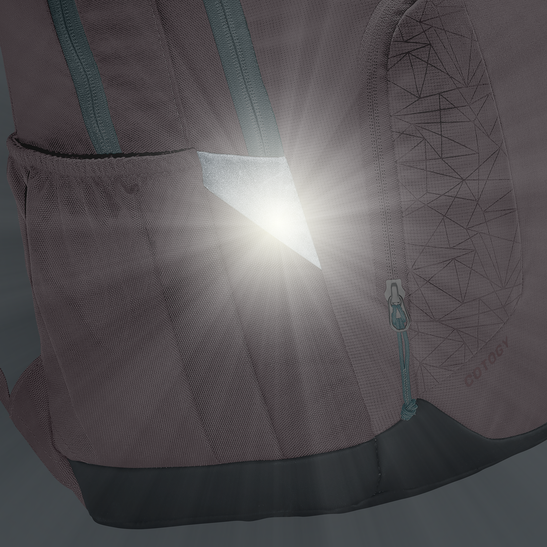 Schulrucksack Cotogy
