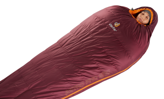 Daunenschlafsack Astro Pro 600 SL
